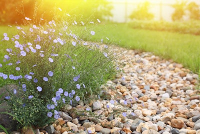 dry creek bed with flowering plants