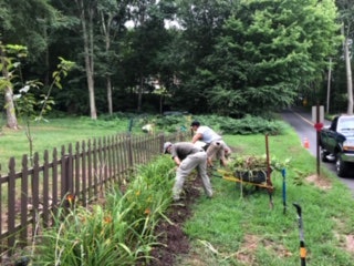 Photo: ProjectEverGreen