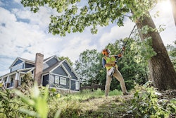stihl-hta-135-pole-pruner