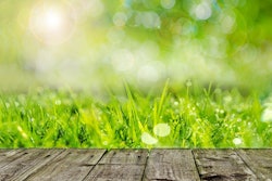 wooden-deck-green-grass