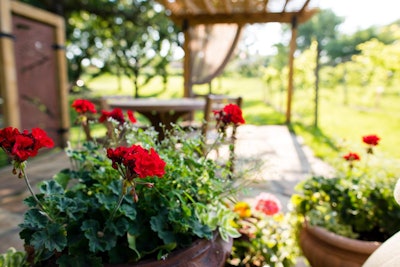 Photo: Sun Valley Landscaping/Colin Conces Photography