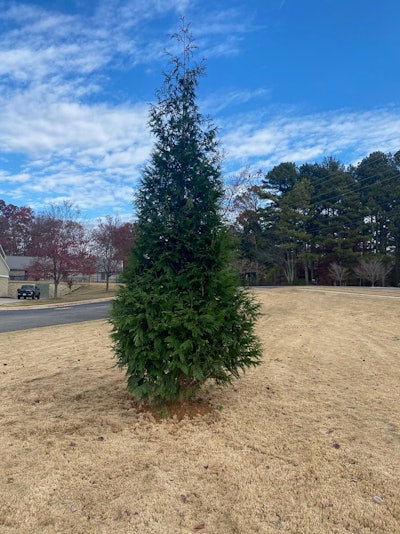 Photo: Daniel Hardiman