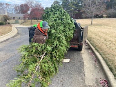 Photo: Daniel Hardiman