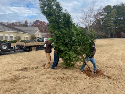 Photo: Daniel Hardiman