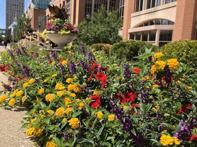 Photo: Jill Odom/Total Landscape Care