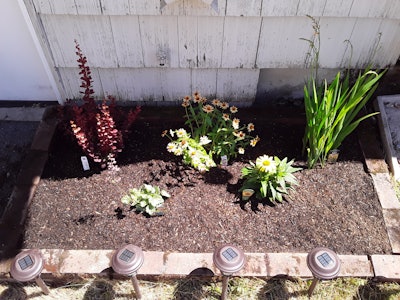maintained flowerbed with brick pavers and mulch