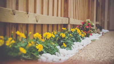 Yellow marigolds and other flowers with white landscaping rocks lining a wooden fence