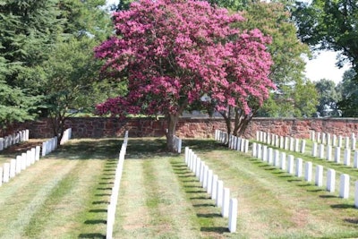 Gravestones in rows with a magenta blooming crape myrtle and other landscaping trees