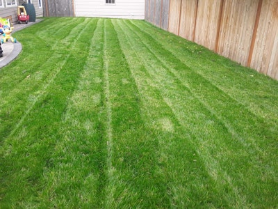 lawn stripes in backyard