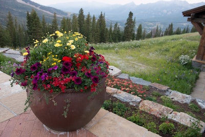 large garden container filled with purple, red, and yellow flowers