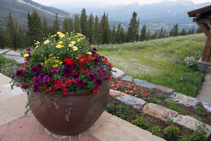 large garden container filled with purple, red, and yellow flowers
