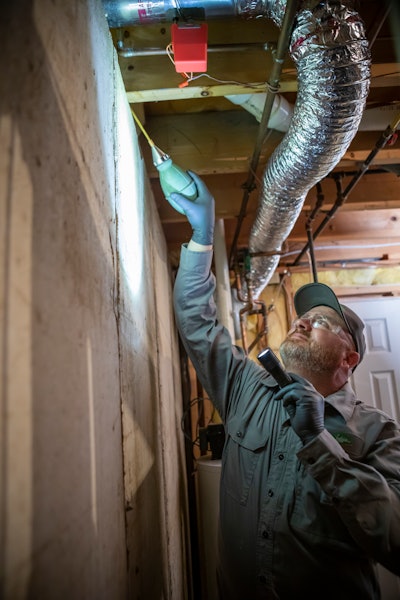 professional performing pest control