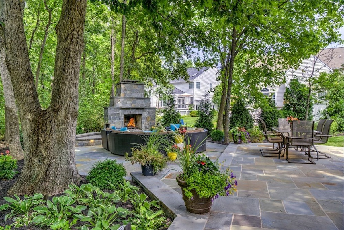 Choosing the best trees to add near a patio | Total Landscape Care