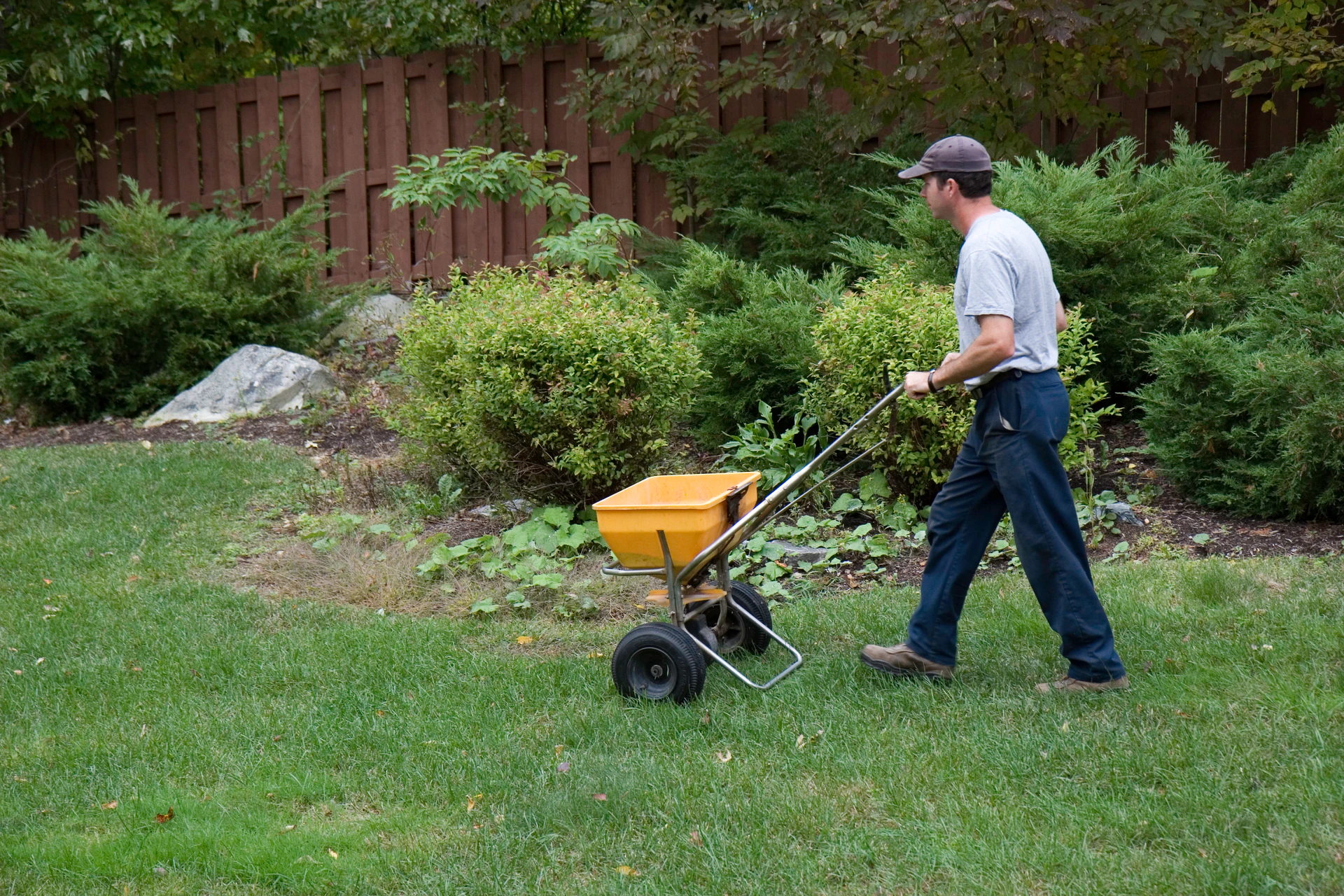 How temporary workers can benefit your landscaping business - Vimarsana News