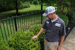 lawn-care professional tending to bushes