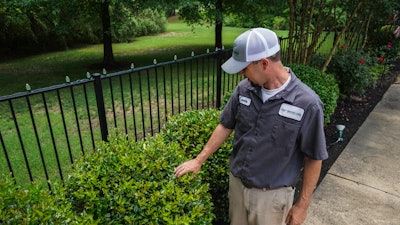 lawn-care professional tending to bushes
