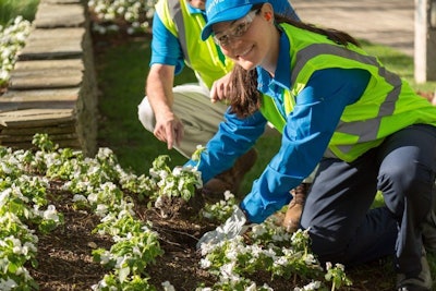 woman planting plants