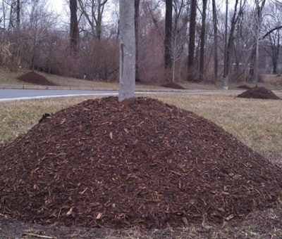 high mountain of mulch surrounding tree