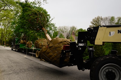 special equipment moving a large tree