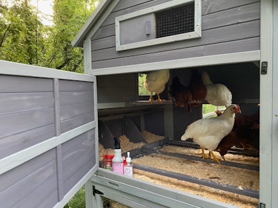 Chicken coop