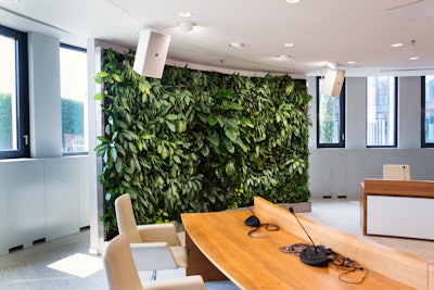 interior plantscape green living wall meeting room