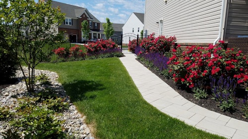 12 different ways to use boxwoods in the landscape | Total Landscape Care