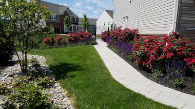 landscaping planting