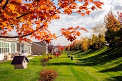 fall landscaping