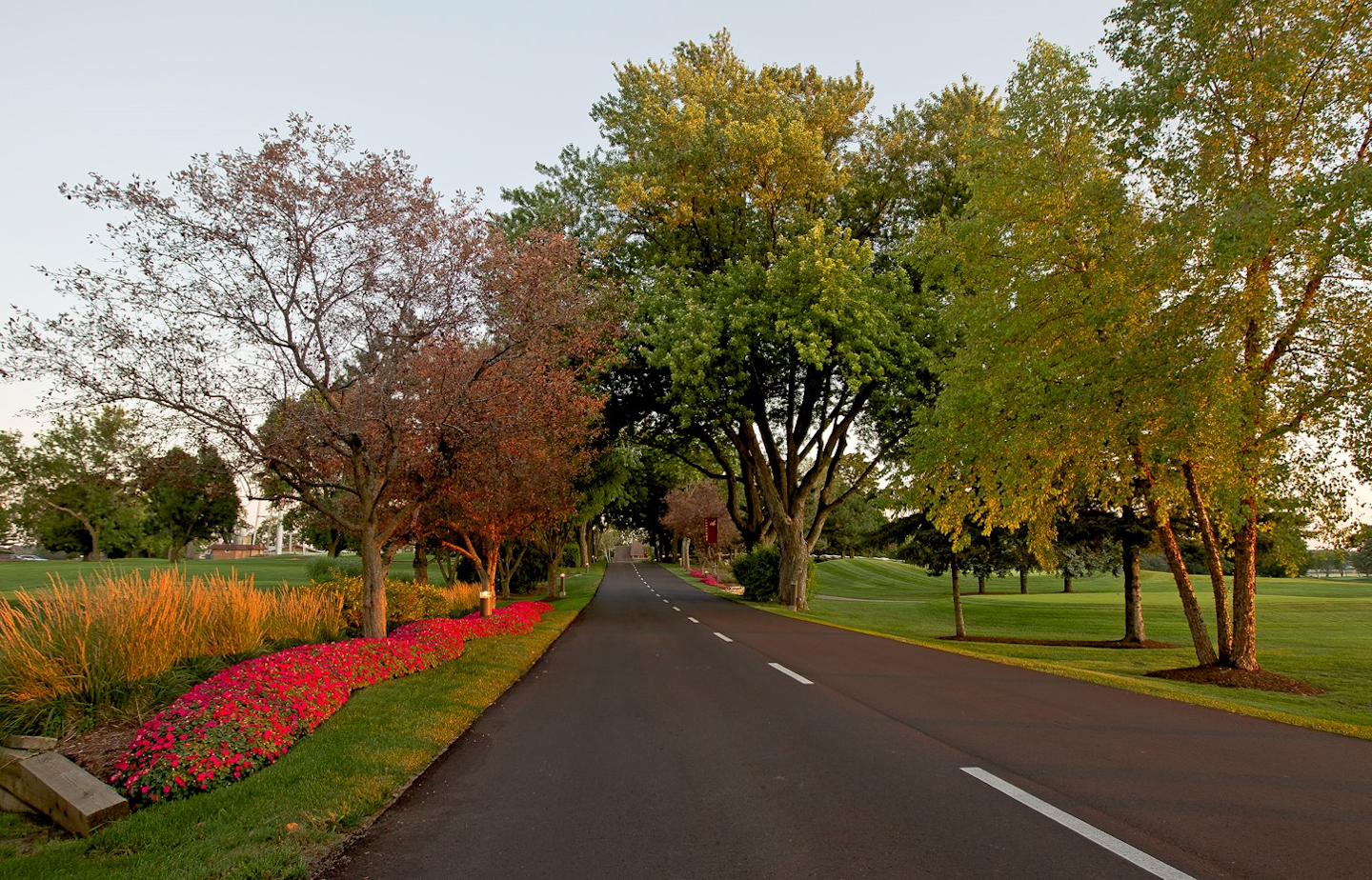 road with landscaping beaming with fall colors