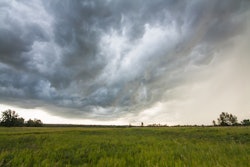 field with storm clouds rolling in