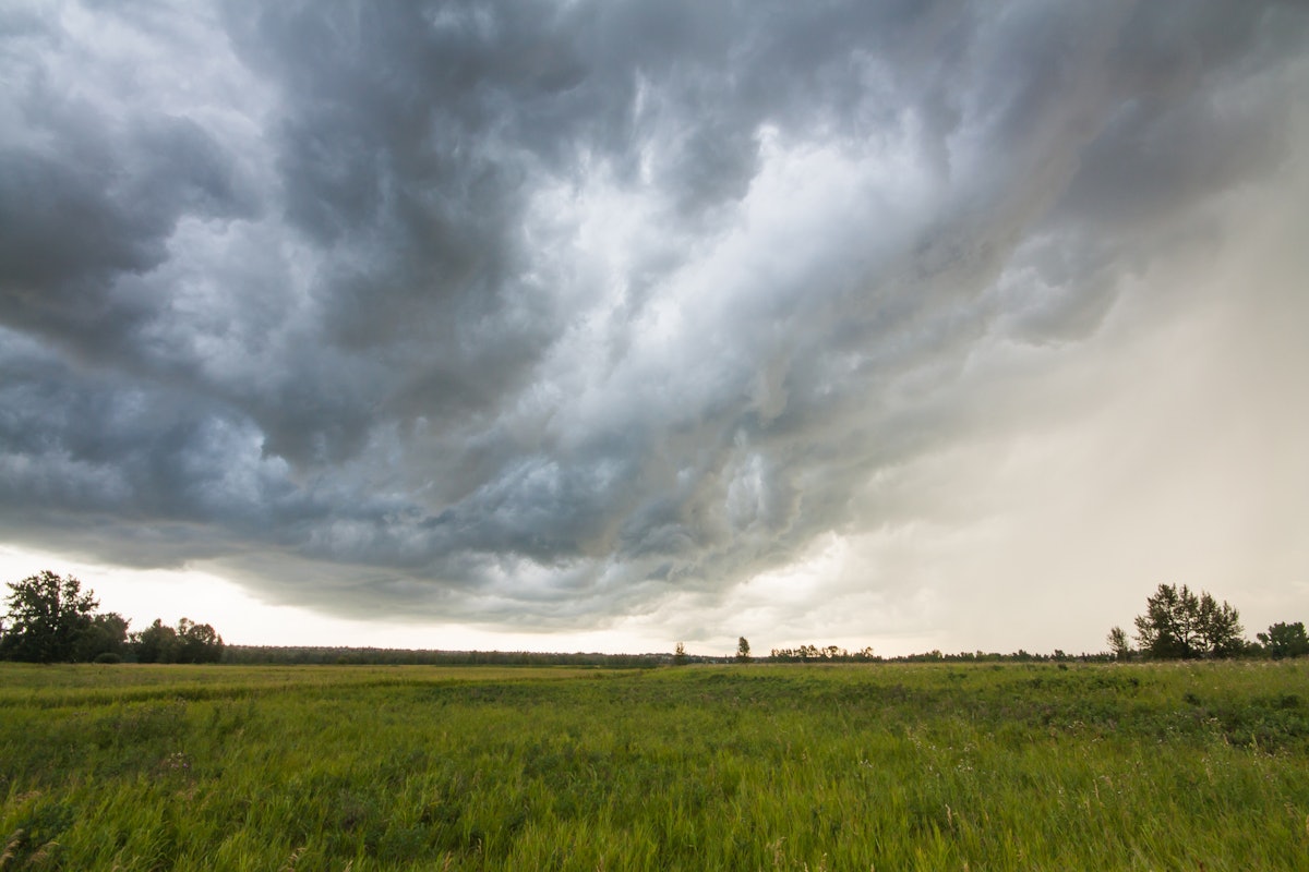 Rainy day best practices for lawn care and landscaping Rainy day best practices for lawn care and landscaping