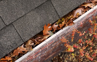 clogged gutter with leaves