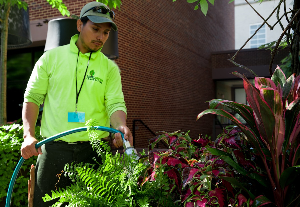 Using case studies to sell landscaping jobs Using case studies to sell landscaping jobs