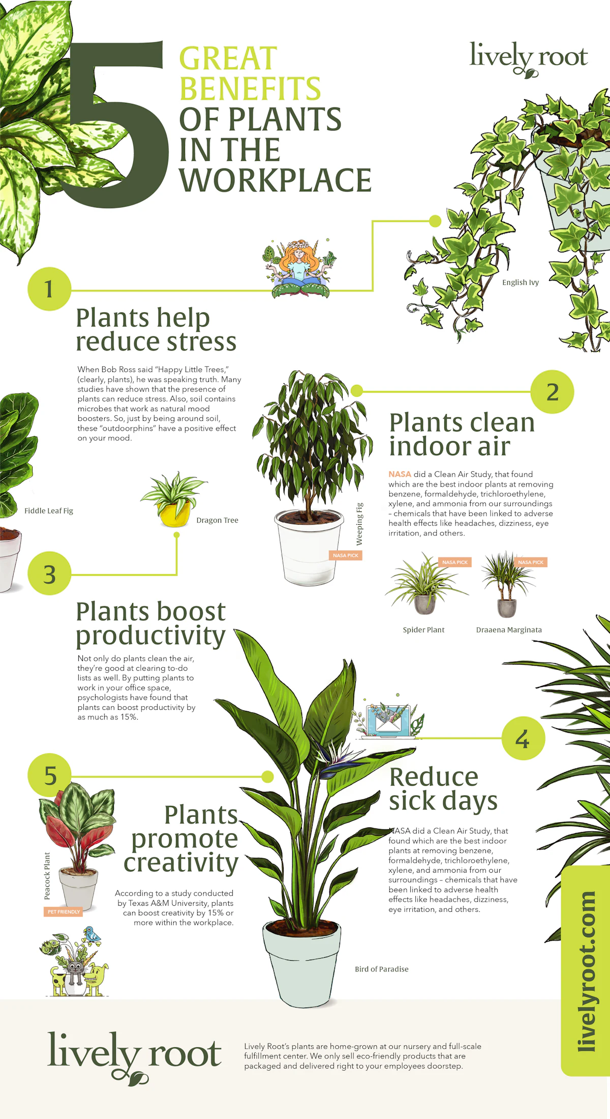 Workplace Plant Workplace Plant