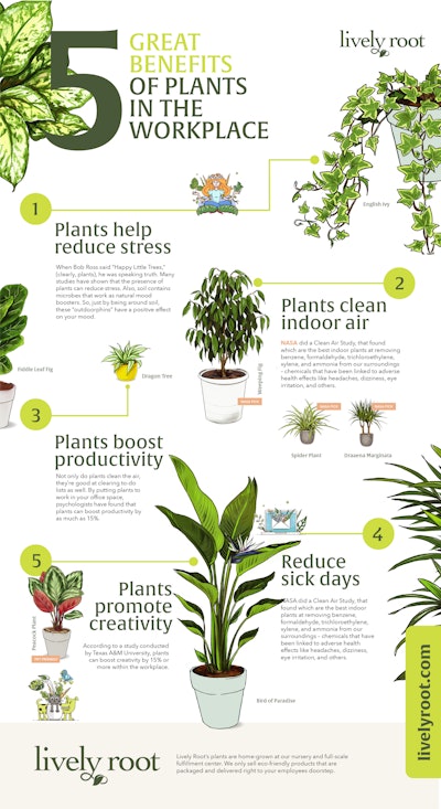 5 great benefits of plants in the workplace
