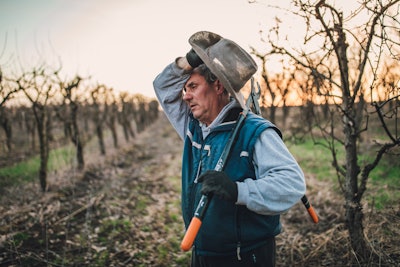 man wiping sweat from under his hat while holding pruning shears