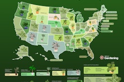 AllAboutGardening.com analyzed Google Trends data to establish the most Googled houseplant in each American state.