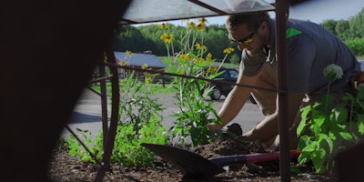 landscaper planting flowers