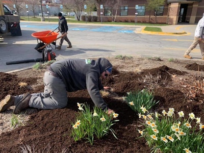 landscfaper planting flowers around commercial business