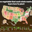 each american's state favorite vegetable