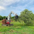 Werk-Brau grapple rake compact excavator holding tree