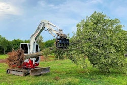 Werk-Brau grapple rake compact excavator holding tree