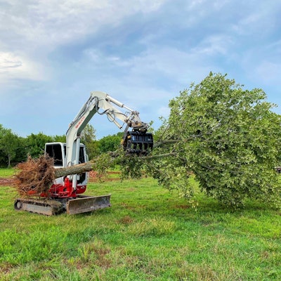 Werk-Brau grapple rake compact excavator holding tree