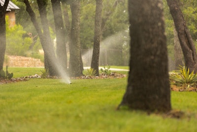 irrigation sprinkler head watering grass under trees
