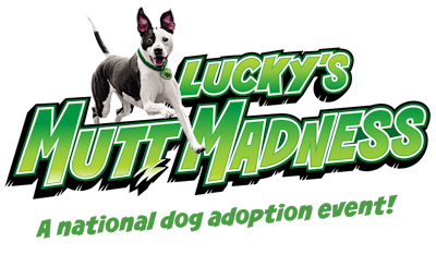 lucky's mutt madness a national dog adoption even
