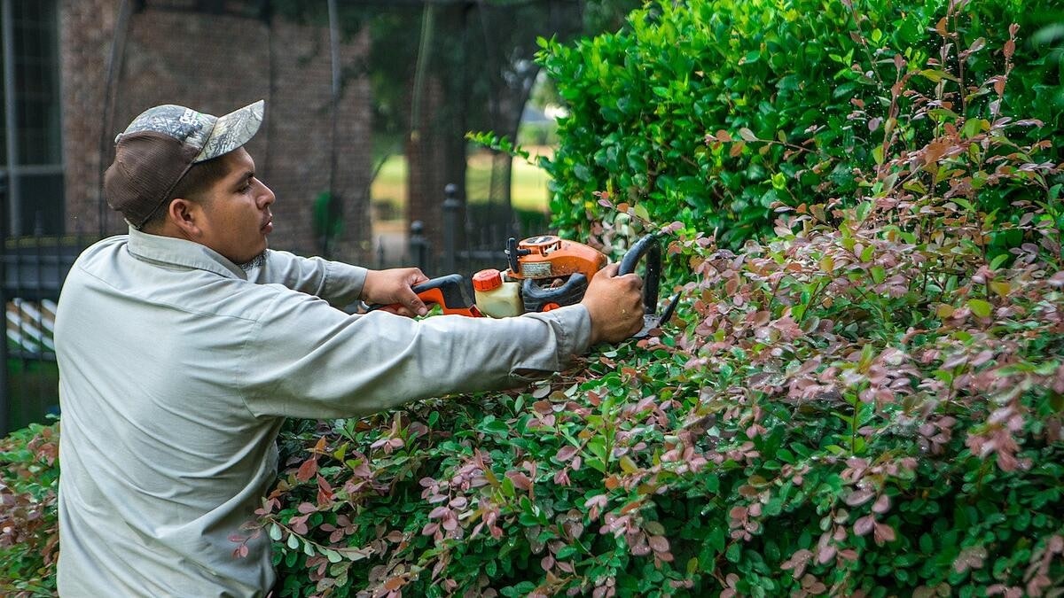 Winter shrub pruning tips | Total Landscape Care