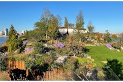 landscape design