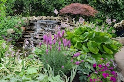 Flower garden with water feature