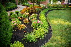 plant bed with flowers