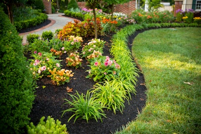 plant bed with flowers